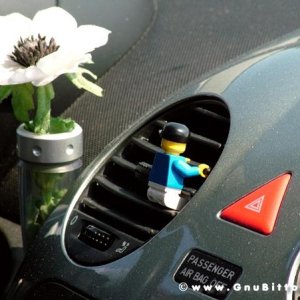 21/22-04-2007 - Laguna Gnu 2007