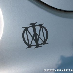 21/22-04-2007 - Laguna Gnu 2007