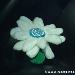 21/22-04-2007 - Laguna Gnu 2007