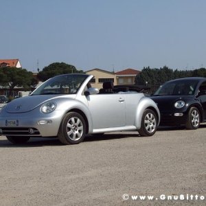 21/22-04-2007 - Laguna Gnu 2007