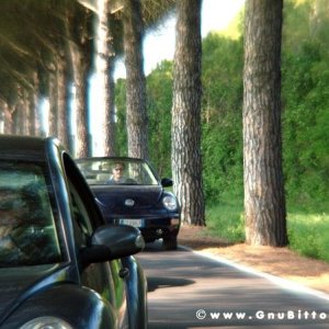 21/22-04-2007 - Laguna Gnu 2007