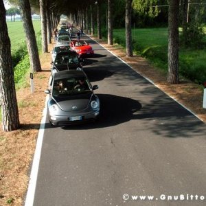 21/22-04-2007 - Laguna Gnu 2007