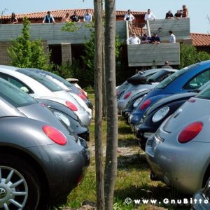 21/22-04-2007 - Laguna Gnu 2007