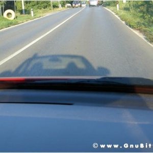 Le vacanze dei Gnubitters!