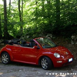 Le vacanze dei Gnubitters!