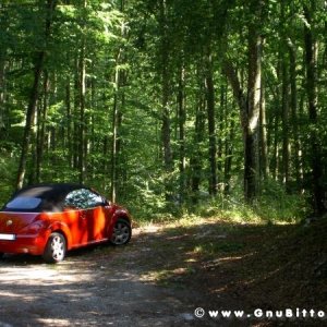 Le vacanze dei Gnubitters!