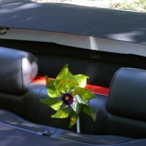 Le vacanze dei Gnubitters!