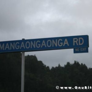 Le vacanze dei Gnubitters!