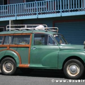 Le vacanze dei Gnubitters!