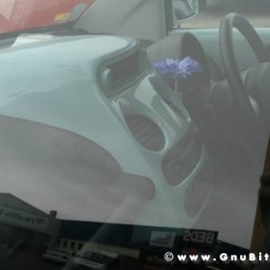 Le vacanze dei Gnubitters!