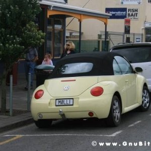 Le vacanze dei Gnubitters!