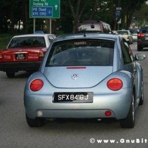 Le vacanze dei Gnubitters!