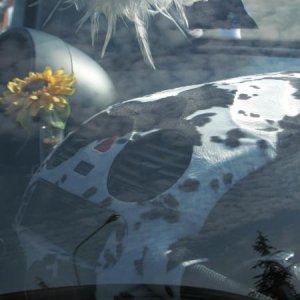 23-09-2007 - BoloGnuBittol 2007