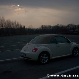 30-03-2008 - pORTA lo Gnu al Lago! 2008