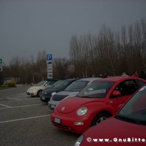 30-03-2008 - pORTA lo Gnu al Lago! 2008