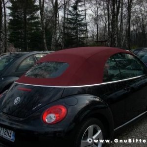 30-03-2008 - pORTA lo Gnu al Lago! 2008