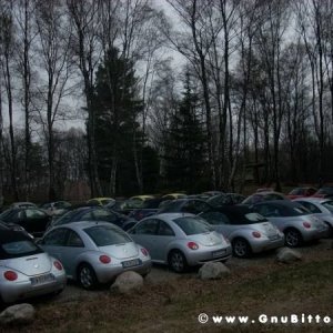 30-03-2008 - pORTA lo Gnu al Lago! 2008