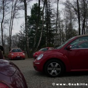 30-03-2008 - pORTA lo Gnu al Lago! 2008