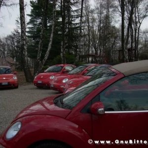 30-03-2008 - pORTA lo Gnu al Lago! 2008