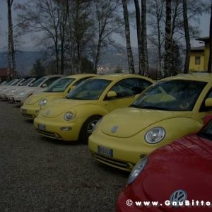 30-03-2008 - pORTA lo Gnu al Lago! 2008