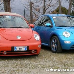 30-03-2008 - pORTA lo Gnu al Lago! 2008