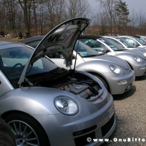 30-03-2008 - pORTA lo Gnu al Lago! 2008