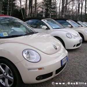 30-03-2008 - pORTA lo Gnu al Lago! 2008