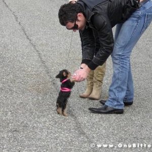 30-03-2008 - pORTA lo Gnu al Lago! 2008