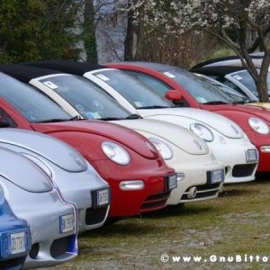 30-03-2008 - pORTA lo Gnu al Lago! 2008