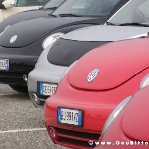 30-03-2008 - pORTA lo Gnu al Lago! 2008