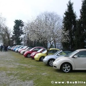 30-03-2008 - pORTA lo Gnu al Lago! 2008