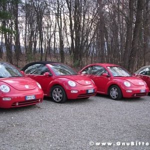 30-03-2008 - pORTA lo Gnu al Lago! 2008