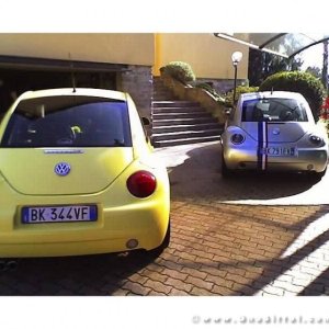 30-03-2008 - pORTA lo Gnu al Lago! 2008