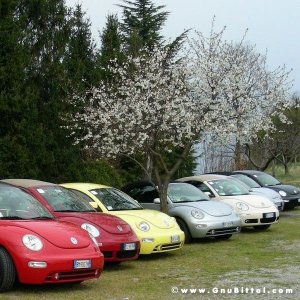 30-03-2008 - pORTA lo Gnu al Lago! 2008