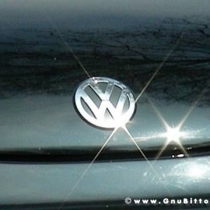 30-03-2008 - pORTA lo Gnu al Lago! 2008