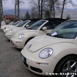 30-03-2008 - pORTA lo Gnu al Lago! 2008