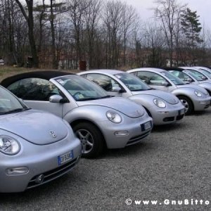 30-03-2008 - pORTA lo Gnu al Lago! 2008