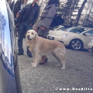 30-03-2008 - pORTA lo Gnu al Lago! 2008