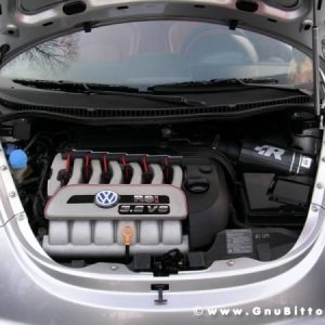 30-03-2008 - pORTA lo Gnu al Lago! 2008