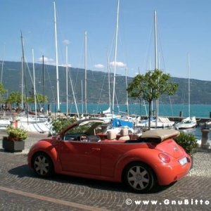 Le vacanze dei Gnubitters!