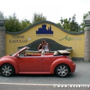 Le vacanze dei Gnubitters!