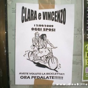 Le vacanze dei Gnubitters!