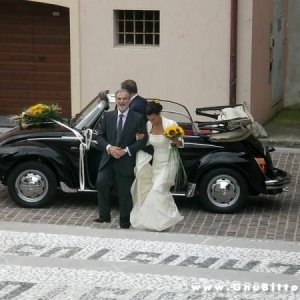 Le vacanze dei Gnubitters!