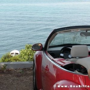 Le vacanze dei Gnubitters!