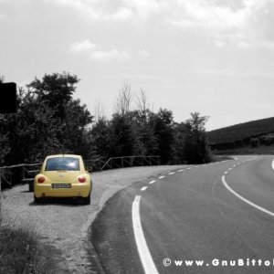 Le vacanze dei Gnubitters!