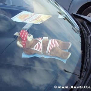 28-09-2008 - romaGNUa mia ! 2008