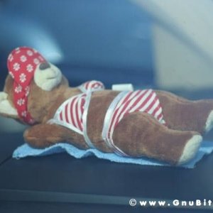 28-09-2008 - romaGNUa mia ! 2008