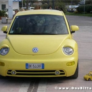 romaGNUa mia ! 2008 - GnuConcorso Fotografico