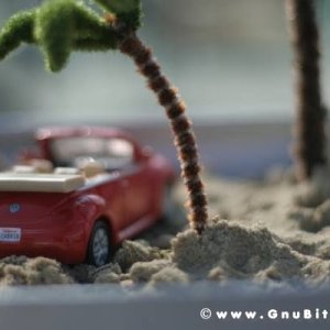 romaGNUa mia ! 2008 - GnuConcorso Fotografico