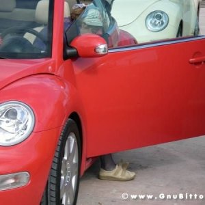 28-09-2008 - romaGNUa mia ! 2008